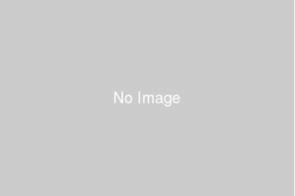 テキストテキスト